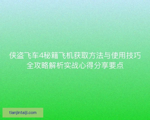侠盗飞车4秘籍飞机获取方法与使用技巧全攻略解析实战心得分享要点
