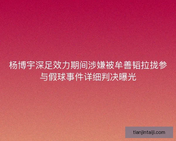 杨博宇深足效力期间涉嫌被牟善韬拉拢参与假球事件详细判决曝光